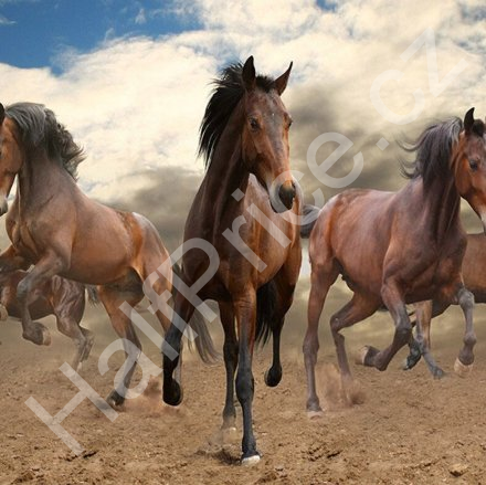 Tapeta 3D Vesmír (1)