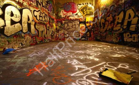 Tapeta 3D Veselá zvířátka (1)