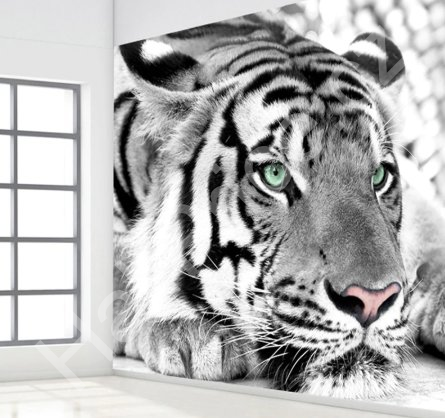 Tapeta 3D Delfín v bublinách (1)