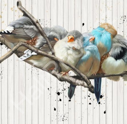 Tapeta 3D Balóny a Letadla (1)