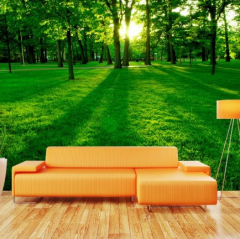 Melin 3D tapeta - Park MU23