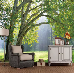 Solution Media 3D tapeta - Lesní scenérie  MU42