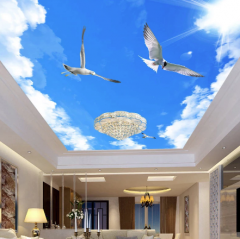 Solution Media 3D tapeta - Nebe a racek MU1330