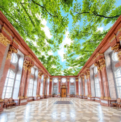 Solution Media 3D tapeta - V korunách stromů MU1725