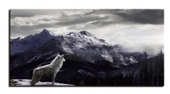 Etos ArtSailing Gallery 1 dílné obrazy - Vlk VIII