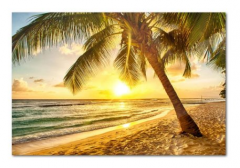 Etos ArtSailing Gallery 1 dílné obrazy - Pláž