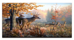 Etos ArtSailing Gallery 1 dílné obrazy -Jelen