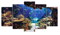 Etos ArtSailing Gallery 5 dílný obraz na plátně - Korálový útes III