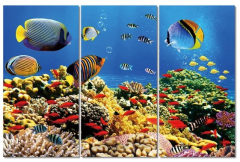 Etos ArtSailing Gallery 3 dílné obrazy - Korálový útes