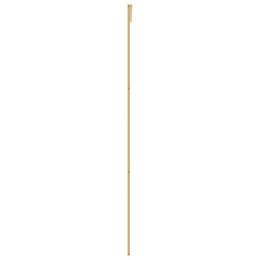 OMAXI Posuvné dveře zlaté 102,5 x 205 cm čiré ESG sklo a hliník 119864