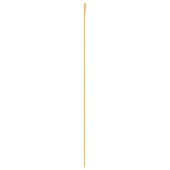 OMAXI Posuvné dveře zlaté 76 x 205 cm čiré ESG sklo a hliník 120266