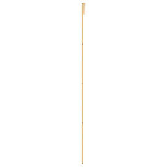 OMAXI Posuvné dveře zlaté 76 x 205 cm čiré ESG sklo a hliník 120143