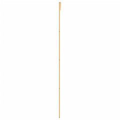 OMAXI Posuvné dveře zlaté 102,5 x 205 cm čiré ESG sklo a hliník 120280