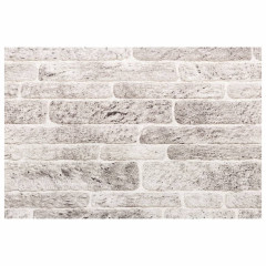 OMAXI 3D nástěnné panely 10 ks světle šedé 100 x 50 cm EPS 637056
