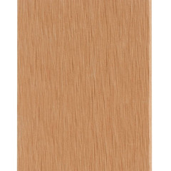 OMAXI Laťkový plot WPC 200 x 100 cm 568513