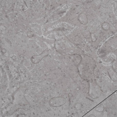 OMAXI Podlahová krytina PVC 5,02 m² 2 mm samolepicí zemitě šedá 997933