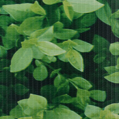 OMAXI Stínící plotové fólie 4 ks PVC 35 x 0,19 m zelené 089040