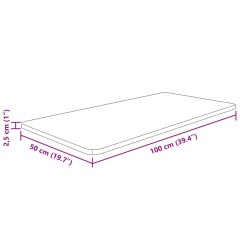 OMAXI Koupelnová deska světle hnědá 100x50x2,5 cm ošetřený masiv 930328