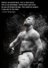 Etos ArtSailing Gallery 1 dílné obrazy  Conor McGregor ty008