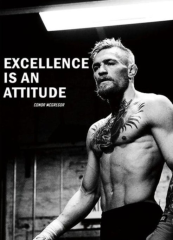 Etos ArtSailing Gallery 1 dílné obrazy  Conor McGregor SP089