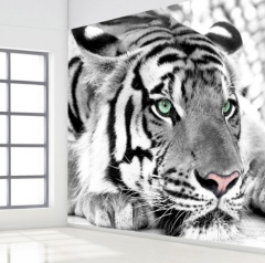 Solution Media 3D tapeta - Tiger II. MU97